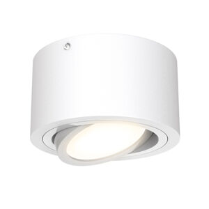 Briloner LED stropní bodové světlo Tube 7121-016 bílá