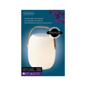 Kaemingk LED stolní lampa 895196 s reproduktorem teplá bílá