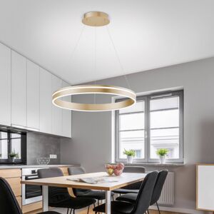 Q-Smart-Home Paul Neuhaus Q-VITO LED závěsné světlo, 1 kruh