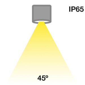 The Light Group SLC MiniOne Fixed LED downlight IP65 černá 927
