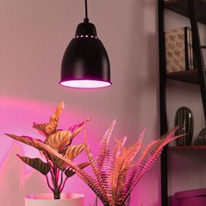 Lampy pro rostliny
